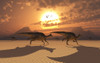 A herd of Velafrons Hadrosaur dinosaurs during the Cretaceous Period Poster Print - Item # VARPSTMAS100925P