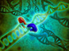 Microscopic view of DNA binding Poster Print - Item # VARPSTSTK700402H