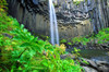 http://c328301.r1.cf1.rackcdn.com/DPI2021210LARGE.jpg