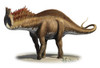 Amargasaurus cazaui, a prehistoric era dinosaur from the Early Cretaceous period Poster Print - Item # VARPSTSKR100092P