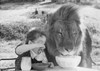 Close-up of a girl and a lion having breakfast together Poster Print - Item # VARSAL9901812