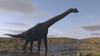 Large Brachiosaurus walking along a dry riverbed Poster Print - Item # VARPSTKVA600807P