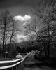 USA  Pennsylvania  Rural scene Poster Print - Item # VARSAL255423364