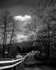 http://c328301.r1.cf1.rackcdn.com/SAL255423364LARGE.jpg