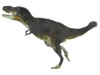 Daspletosaurus dinosaur. Daspletosaurus was a carnivorous theropod dinosaur that lived during the Cretaceous Period of North America Poster Print - Item # VARPSTCFR200460P