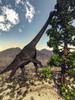Brachiosaurus dinosaur grazing on a Wollemia pine tree Poster Print - Item # VARPSTEDV600265P