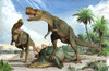 Confrontation between two Kileskus aristotocus dinosaurs over the dead body of a stegosaurid dinosaur Poster Print - Item # VARPSTSKR100113P