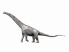 Alamosaurus sanjuanensis, a sauropod from the Late Cretaceous of New Mexico, USA Poster Print - Item # VARPSTNBT600041P