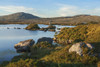 Landscape along the coast; Connemara, County Galway, Ireland PosterPrint - Item # VARDPI2429606
