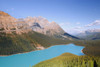 Peyto Lake, Banff National Park, Alberta, Canada PosterPrint - Item # VARDPI1801102