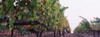 http://c328301.r1.cf1.rackcdn.com/PPI93025S.jpg