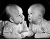 Two babies leaning on elbows and looking at each ether Poster Print - Item # VARSAL2559574B