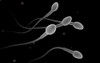 Conceptual image of male sperm Poster Print - Item # VARPSTSTK700735H