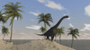 Large Brachiosaurus roaming an tropical climate landscape Poster Print - Item # VARPSTKVA600133P