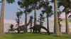 Large Brachiosaurus dinosaurs grazing among trees Poster Print - Item # VARPSTKVA600006P
