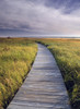 Boardwalk Along The Salt Marsh, Kouchibouguac National Park, New Brunswick, Canada PosterPrint - Item # VARDPI2029200