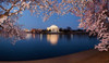 http://c328301.r1.cf1.rackcdn.com/PPI149213.jpg