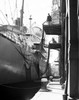 Dock workers working on a harbor Poster Print - Item # VARSAL25536453