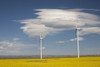 Dramatic Clouds With Blue Sky And Windmills In A Flowering Canola Field; Alberta, Canada PosterPrint - Item # VARDPI1998508