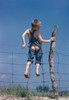 Boy trapped in a barbed wire fence Poster Print - Item # VARSAL3810990 Boy trapped in a barbed wire fence Poster Print - Item # VARSAL3810990