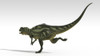 Yangchuanosaurus, dinosaur, white background Poster Print