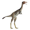 Mononykus dinosaur standing, white background Poster Print - Item # VARPSTEDV600196P