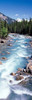 Yoho River  British Columbia  Canada Poster Print by Panoramic Images (12 x 38) - Item # PPI70952
