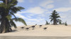 Herd of Gigantoraptors walking along the shore Poster Print - Item # VARPSTKVA600350P