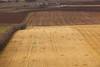 Elevated view of farm field, New Salem, Morton County, North Dakota, USA Poster Print - Item # VARPPI167107