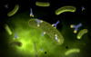 Conceptual image of antibody attaching and killing bacteria Poster Print - Item # VARPSTSTK700026H