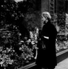Woman watching window display with flowers Poster Print - Item # VARSAL255416974