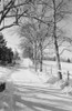 Rural road in winter Poster Print - Item # VARSAL255423492