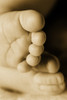 A Baby's Feet PosterPrint - Item # VARDPI5536