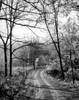 USA  Ohio  dirt track leading to farm Poster Print - Item # VARSAL25533415