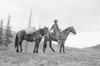 Side profile of cowboy with two horses Poster Print - Item # VARSAL2557592