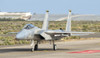 A U.S. Air Force F-15C Eagle on the flight line at Gando Air Base, Spain Poster Print - Item # VARPSTGCA100044M