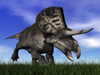 Zuniceratops dinosaur running in the grass Poster Print - Item # VARPSTEDV600149P