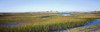 Swamp with lighthouse in the background, Race Point Light, Provincetown, Cape Cod, Barnstable County, Massachusetts, USA Poster Print - Item # VARPPI158255