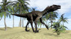 A Utahraptor walking in a tropical environment Poster Print