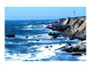 http://c328301.r1.cf1.rackcdn.com/SAL805C4833B.jpg