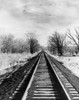 Railroad track passing through a landscape Poster Print - Item # VARSAL25516382