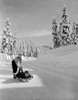 Young woman pushing sledge with young man lying on it Poster Print - Item # VARSAL255419393