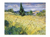 http://c328301.r1.cf1.rackcdn.com/BALXIR37647LARGE.jpg