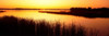 Minnesota  Deer Lake Poster Print by Panoramic Images (37 x 12) - Item # PPI6276