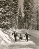 A boy being pulled by his mother and his sister on a sled Poster Print - Item # VARSAL2554030