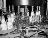 Milk bottles filling at a bottling plant Poster Print - Item # VARSAL25523494