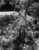 Woman gardening and looking away Poster Print - Item # VARSAL255416658