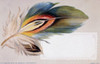 Feather Nostalgia Cards Poster Print - Item # VARSAL9801330