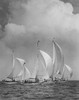 Sailboats in the sea Poster Print - Item # VARSAL25522546