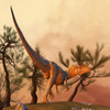 Allosaurus, a large theropod dinosaur that lived 155 to 150 million years ago during the late Jurassic period of North America Poster Print - Item # VARPSTPHB600004P